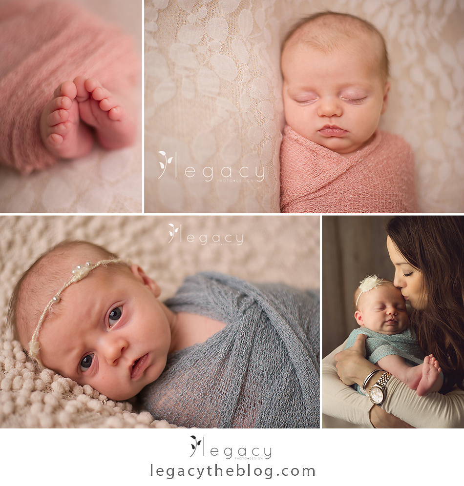 legacy photo and design newborn session