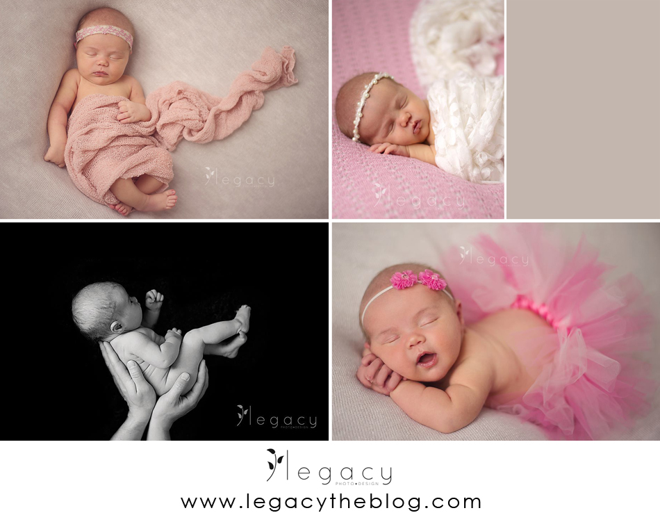Newborn Photography | legacytheblog.com » Photography blog of Amy Oyler, Legacy Photo and Design Rapid City SD